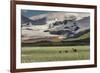 USA, Alaska, Katmai National Park, Hallo Bay. Coastal Brown Bear with twins-Frank Zurey-Framed Photographic Print