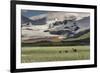 USA, Alaska, Katmai National Park, Hallo Bay. Coastal Brown Bear with twins-Frank Zurey-Framed Photographic Print