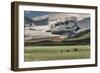 USA, Alaska, Katmai National Park, Hallo Bay. Coastal Brown Bear with twins-Frank Zurey-Framed Photographic Print