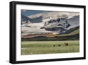 USA, Alaska, Katmai National Park, Hallo Bay. Coastal Brown Bear with twins-Frank Zurey-Framed Photographic Print