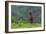 USA, Alaska, Katmai National Park, Hallo Bay. Coastal Brown Bear-Frank Zurey-Framed Photographic Print