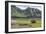 USA, Alaska, Katmai National Park, Hallo Bay. Coastal Brown Bear-Frank Zurey-Framed Photographic Print