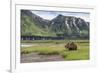 USA, Alaska, Katmai National Park, Hallo Bay. Coastal Brown Bear-Frank Zurey-Framed Premium Photographic Print