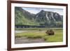 USA, Alaska, Katmai National Park, Hallo Bay. Coastal Brown Bear-Frank Zurey-Framed Premium Photographic Print