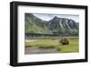 USA, Alaska, Katmai National Park, Hallo Bay. Coastal Brown Bear-Frank Zurey-Framed Photographic Print