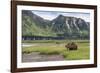 USA, Alaska, Katmai National Park, Hallo Bay. Coastal Brown Bear-Frank Zurey-Framed Photographic Print