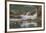 USA, Alaska, Katmai National Park. Harbor Seal resting on seaweed.-Frank Zurey-Framed Premium Photographic Print