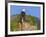 USA, Alaska, Katmai National Park, Kukak Bay. Bald Eagle-Frank Zurey-Framed Photographic Print