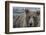 USA, Alaska, Katmai National Park of Grizzly Bear.-Frank Zurey-Framed Photographic Print