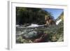 USA, Alaska, Katmai NP, Coastal Brown Bear fishing for salmon.-Paul Souders-Framed Photographic Print