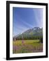 USA, Alaska, Kenai Peninsula. Mountain and lake landscape.-Jaynes Gallery-Framed Photographic Print