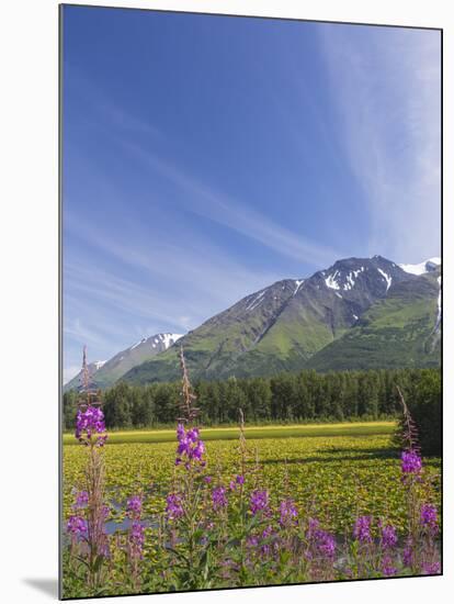 USA, Alaska, Kenai Peninsula. Mountain and lake landscape.-Jaynes Gallery-Mounted Photographic Print