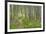 USA, Alaska, Kenai Peninsula. Trail through birch forest and fireweed.-Jaynes Gallery-Framed Premium Photographic Print