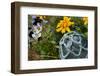 USA, Alaska, Ketchikan, Antique Japanese Fishing Floats-Savanah Stewart-Framed Photographic Print