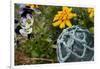 USA, Alaska, Ketchikan, Antique Japanese Fishing Floats-Savanah Stewart-Framed Photographic Print