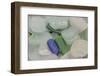 USA, Alaska, Ketchikan, Beach Glass-Savanah Stewart-Framed Photographic Print