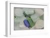 USA, Alaska, Ketchikan, Beach Glass-Savanah Stewart-Framed Photographic Print