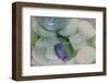 USA, Alaska, Ketchikan, Beach Glass-Savanah Stewart-Framed Photographic Print