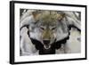 USA, Alaska, Ketchikan, Downtown Summertime. Wolf Skin-Savanah Stewart-Framed Photographic Print