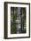 USA, Alaska, Ketchikan, Totem Bight State Historical Park-Savanah Stewart-Framed Photographic Print