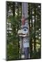 USA, Alaska, Ketchikan, Totem Bight State Historical Park-Savanah Stewart-Mounted Photographic Print