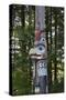 USA, Alaska, Ketchikan, Totem Bight State Historical Park-Savanah Stewart-Stretched Canvas