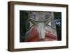 USA, Alaska, Ketchikan, Totem Bight State Historical Park-Savanah Stewart-Framed Photographic Print