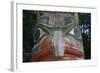 USA, Alaska, Ketchikan, Totem Bight State Historical Park-Savanah Stewart-Framed Photographic Print