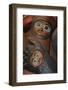 USA, Alaska, Ketchikan, Totem Bight State Historical Park-Savanah Stewart-Framed Photographic Print