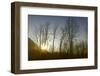 USA, Alaska, Knik River-Savanah Plank-Framed Photographic Print