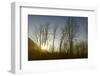 USA, Alaska, Knik River-Savanah Plank-Framed Photographic Print