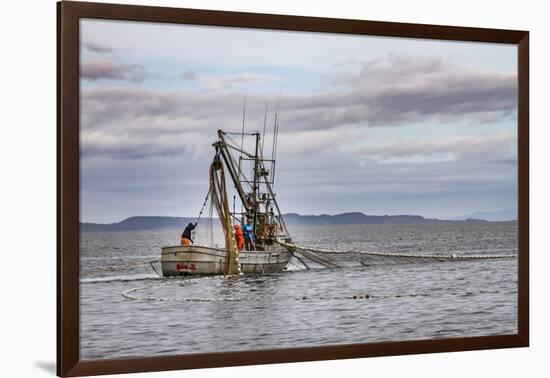 USA, Alaska, Kodiak, Chiniak Bay. Commercial fishing for salmon.-Frank Zurey-Framed Photographic Print