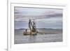 USA, Alaska, Kodiak, Chiniak Bay. Commercial fishing for salmon.-Frank Zurey-Framed Photographic Print