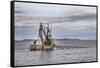 USA, Alaska, Kodiak, Chiniak Bay. Commercial fishing for salmon.-Frank Zurey-Framed Stretched Canvas