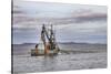 USA, Alaska, Kodiak, Chiniak Bay. Commercial fishing for salmon.-Frank Zurey-Stretched Canvas