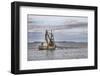 USA, Alaska, Kodiak, Chiniak Bay. Commercial fishing for salmon.-Frank Zurey-Framed Photographic Print