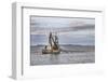 USA, Alaska, Kodiak, Chiniak Bay. Commercial fishing for salmon.-Frank Zurey-Framed Photographic Print