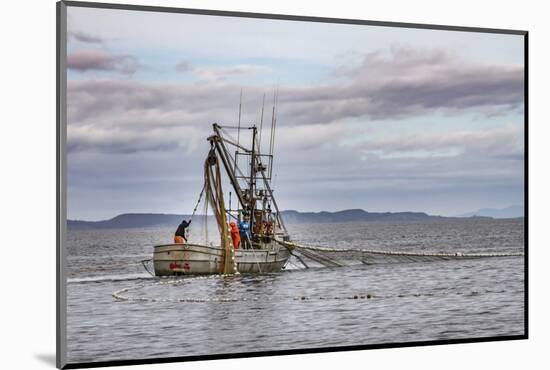 USA, Alaska, Kodiak, Chiniak Bay. Commercial fishing for salmon.-Frank Zurey-Mounted Photographic Print