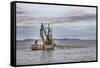 USA, Alaska, Kodiak, Chiniak Bay. Commercial fishing for salmon.-Frank Zurey-Framed Stretched Canvas