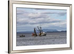 USA, Alaska, Kodiak, Chiniak Bay. Commercial fishing for salmon.-Frank Zurey-Framed Premium Photographic Print