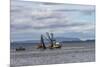 USA, Alaska, Kodiak, Chiniak Bay. Commercial fishing for salmon.-Frank Zurey-Mounted Premium Photographic Print