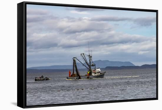 USA, Alaska, Kodiak, Chiniak Bay. Commercial fishing for salmon.-Frank Zurey-Framed Stretched Canvas