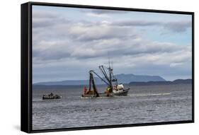 USA, Alaska, Kodiak, Chiniak Bay. Commercial fishing for salmon.-Frank Zurey-Framed Stretched Canvas