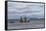 USA, Alaska, Kodiak, Chiniak Bay. Commercial fishing for salmon.-Frank Zurey-Framed Stretched Canvas