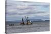 USA, Alaska, Kodiak, Chiniak Bay. Commercial fishing for salmon.-Frank Zurey-Stretched Canvas