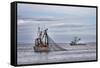 USA, Alaska, Kodiak, Chiniak Bay. Commercial fishing for salmon.-Frank Zurey-Framed Stretched Canvas