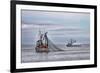 USA, Alaska, Kodiak, Chiniak Bay. Commercial fishing for salmon.-Frank Zurey-Framed Photographic Print