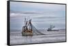 USA, Alaska, Kodiak, Chiniak Bay. Commercial fishing for salmon.-Frank Zurey-Framed Stretched Canvas