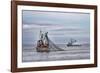 USA, Alaska, Kodiak, Chiniak Bay. Commercial fishing for salmon.-Frank Zurey-Framed Photographic Print