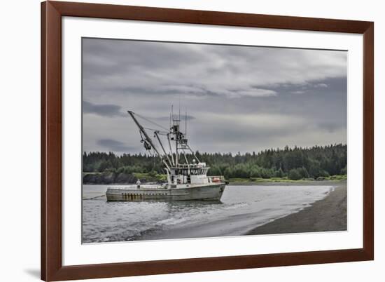 USA, Alaska, Kodiak, Chiniak Bay. Commercial fishing for salmon.-Frank Zurey-Framed Photographic Print